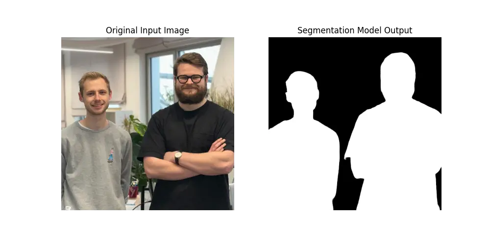 Illustration of segmentation model usage.